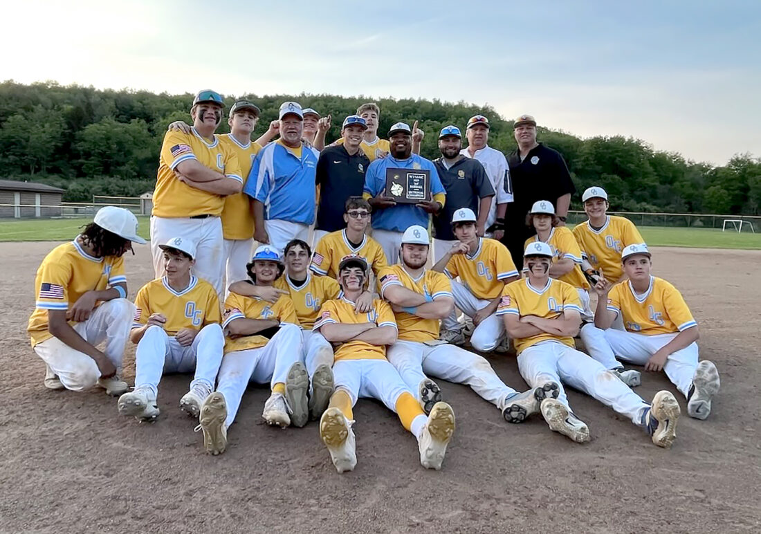 bears-win-sectional-1-title-news-sports-jobs-weirton-daily-times